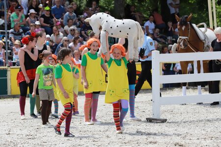 Beim Haupt- und Landgestüt Marbach findet erneut ein Kindertag statt.  | © Dieter Reisner