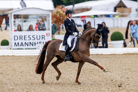 Moritz Treffinger und Fiderdance siegen in der Wertungsprüfungen für den Piaff-Förderpreis. | © Lafrentz