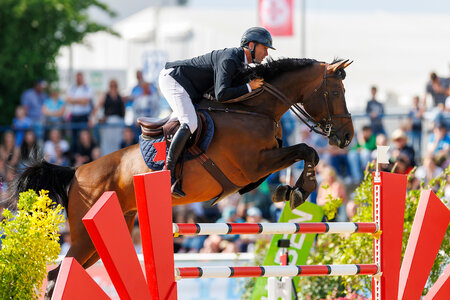 David Will auf dem Weg zum Sieg im Championat von Mannheim  | © Stefan Lafrentzu