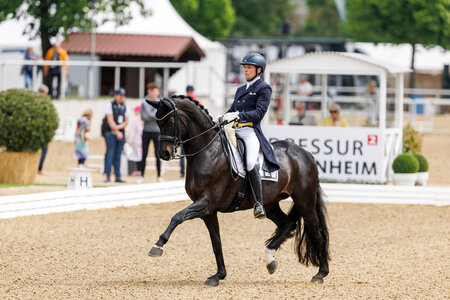 Henri Ruoste und Tiffanys Diamond konnten sich im Grand Prix Special die goldene Schleife anstecken lassen und einen Sieg auf dem Mannheimer Maimarkt zelebrieren.  | © Lafrentz