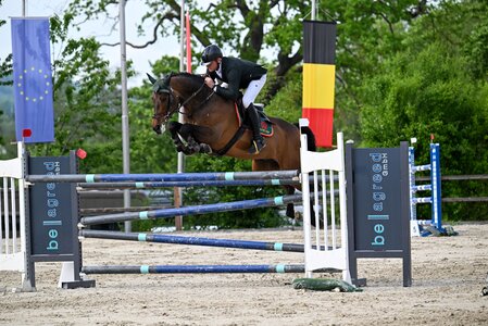 Schnell und fehlerfrei: Pumbaa und Mario Walter | © Puschak