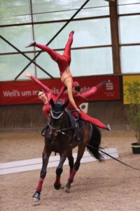 S-Gruppe Ulm-Wiblingen heute in Leonberg | © Gabriele Knisel-Eberhard