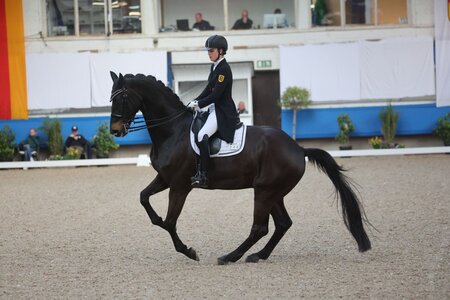 Lisa Steisslinger erfüllt nun alle Anforderungen für das Goldene Reitabzeichen. | © D. Matthaes (Archiv)