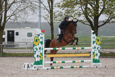 Luisa Sophie Roth gelingt zum Auftakt des Pony Spring-Masters ein Doppelsieg. | © D. Matthaes (Archiv)