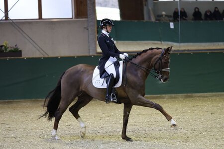 Anna Magdalena Scheßl freute sich in St. Margarethen mit DSP Dubary im Grand Prix Special über einen internationalen Sieg. | © Dill (Archiv)