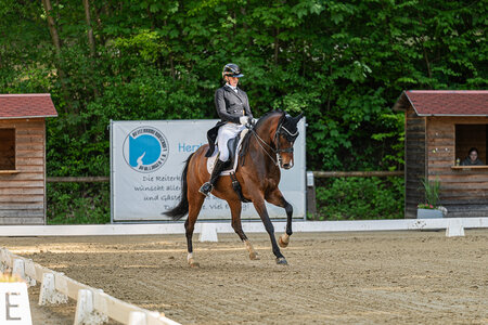 Ines Fleischmann und DSP Bella Benicia sicherten sich in Pfullingen zwei S-Siege. | © Bambi Fotografie