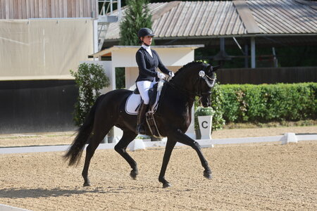 Anna-Lisa Stotmeister und Best of Bond sicherten sich in Böblingen zwei S*-Siege. | © D. Matthaes