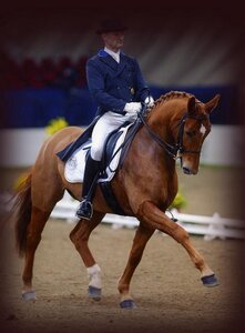 Rubina mit Markus Zellner in der Schleyer-Halle
