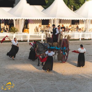 Spannende Impressionen gab es für Pferdesportbegeisterte bereits auf den vergangenen Auflagen der eurocheval zu bestaunen. | © eurocheval - Marko Scheerschmidt & Nils Langenbacher