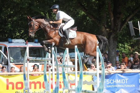 Nikolaus-Leckebusch Peters fliegt mit Kanna Ravella durch den Parcours | © Doris Matthaes (Archiv)