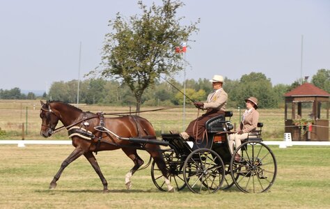 Jens Motteler und Calida fuhren in der 3*-Wertung insgesamt zum fünften Platz. | © Herbert Rauser (Archiv)