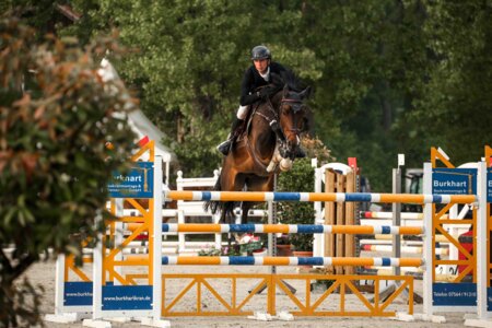 Sönke Aldinger und Crockett siegen im ersten schweren Springen. | © Janina Sanwald
