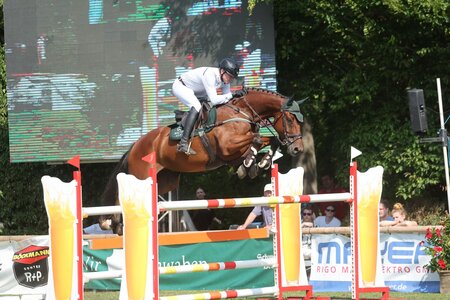 Mario Walter und Mufasa platzierten sich bei ihrem Ausflug nach Griechenland. | © D. Matthaes (Archiv)