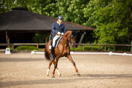 Pieter van der Raadt führte die zweite Abteilung der S-Dressur in Leonberg an. | © Lara Zahs (frei)