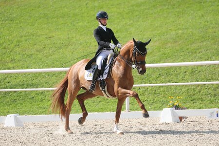 Vera Breidenbach und FBW Fürstin Primavera trabten am Wochenende zu den nächsten S***-Platzierungen.  | © D. Matthaes (Archiv)