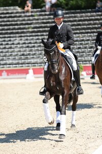 Timo Kemmerer hatte 2024 mit Dantes Zazou den Grand Prix von Marbach angeführt. | © D. Matthaes