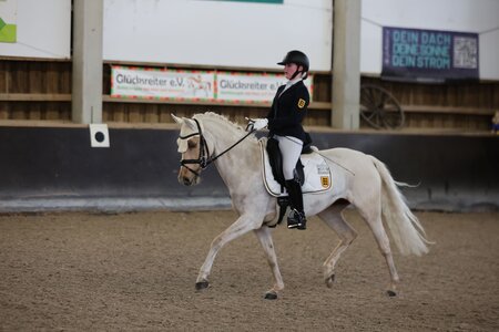 Nina Bäuerle und Die Zaubermaus konnten in der ersten Ponyprüfung beim Hamburger Derby überzeugen. | © D. Matthaes (Archiv)