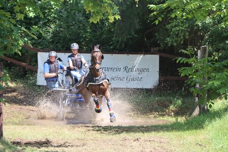 Ciara Schubert sichert sich Platz drei im Gelände der Einspänner Pferde. | © Herbert Rauser