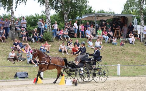 Ciara Schubert sichert sich den Titel Baden-Württembergische Meisterin U25 Einspänner Pferde. | © Herbert Rauser