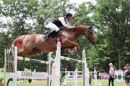 Markus Kölz mit Dornadelo  | © D. Matthaes