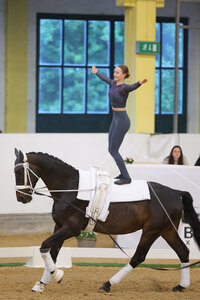 Lara Andrew beendete das CVI Stadl Paura auf Rang sieben. | © Julian Spilker