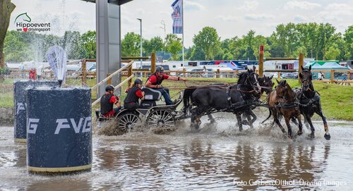 Michi Brauchle fuhr mit seinem Vierspänner im Marathon zu Glanzleistungen auf und sicherte sich mit sechs aus sieben Bestzeiten den Sieg.  | © Gerben Olthof / Hippoevent