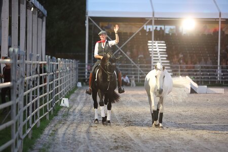 Auf der eurocheval warten drei Galaabende und viele Show Acts auf die Besucher. | © Doris Matthaes (Archiv)
