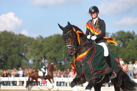 Immer wieder ein Ort authentischer Emotionen - das Reitpferdeviereck in Warendorf. | © Bischoff