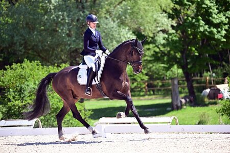 Carina Harnisch und DSP Snickers F sicherten sich beim Pfingstturnier Wiesbaden Platz zwei. | © Dill (Archiv)
