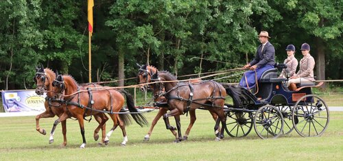 Steffen Brauchle und seine Ponys konnten überlegen in der Dressur überzeugen und mit 70,76 Prozent den Sieg einfahren. | © Herbert Rauser