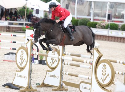 Mit Napoleon springt Joana Schildknecht zum Sieg. | © Roger Müller