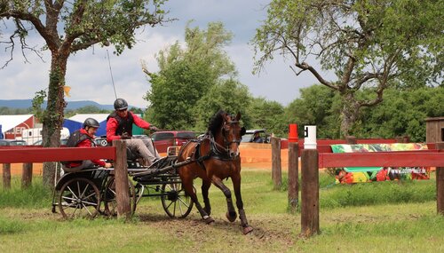 Jens Motteler und Calida fahren im Marathon zu Rang zwei und wandern dadurch in der Meisterschaftswertung weiter nach oben.  | © Herbert Rauser