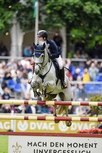 Michael Jung ritt in Wiesbaden in fast jedem Springen um den Sieg mit. | © TomsPic