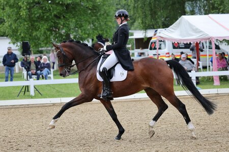 Ines Fleischmann sicherte sich mit DSP Bella Benicia in Aulendorf zwei S-Siege. | © D. Matthaes