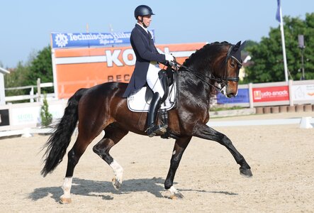 Thomas Wagner und Escolar's Emil trabten zum ersten S***-Sieg der Winterlingen Winners. | © Roger Müller