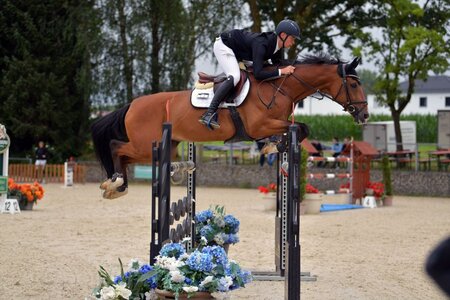 Ein eingespieltes Team: Joel Ehinger und Bonita | © Dill (Archiv)