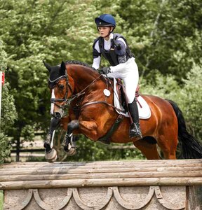 Im Stil-Geländeritt der Klasse A* zückten die Richter für die Siegerin Emma Schuler und ihren baden-württembergisch gezogenen Acco mit der 9,5 die Höchstnote des Wochenendes.  | © Janina Sanwald