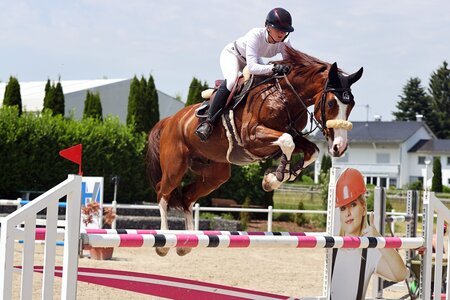 In Illertissen gleich zwei goldene Schleifen geholt: Lea Sophia Gut, hier mit Sharm el Sheihk | © Dill