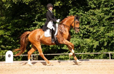 Josephine Lechner freute sich in Welzheim in den beiden S-Dressuren über einen Doppelsieg. | © Equine.cam