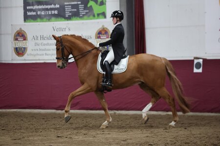 Denali Sun, hier ein Archivfoto von seinem ersten S-Start im Januar | © D. Matthaes