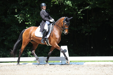 Da traben die beiden zum Sieg: Jana Schlotter und Just Magic | © D. Matthaes