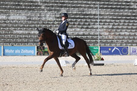 Für Clara Kohoutek und Timms Ozzie gab es in der gestrigen L**, einer Qualifikationsprüfung für den Pony Dressur Master, die goldene Schleife | © DoMa (Archiv)