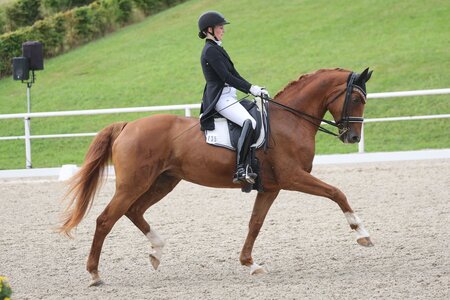 Josephine Lechner und Ladylike holen sich in Holzgerlingen Platz eins. | © Doris Matthaes (Archiv)