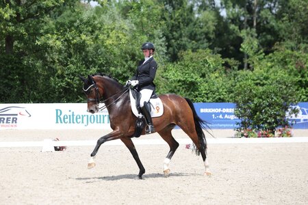 Ines Fleischmann und DSP Bella Benicia trabten erneut zum S*-Sieg. | © D. Matthaes (Archiv)