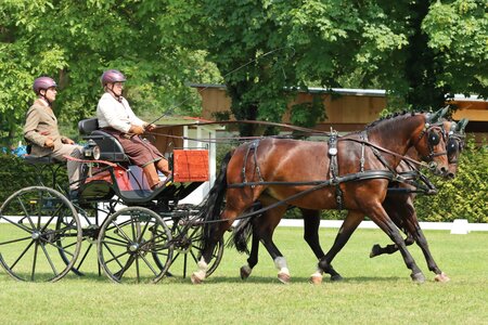 Laura Oberlin präsentierte sich stark in der Dressur. | © Herbert Rauser (Archiv)
