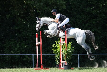 Sven Schlüsselburg mit Chabologna MWZ | © D. Matthaes