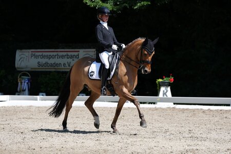 Fabienne Böckmann und Lilienhof's Donelli trabten zum ersten gemeinsamen S-Sieg. | © D. Matthaes (Archiv)