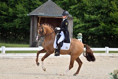 Ann-Cathrin Rieg und Steendieks Derrick sicherten sich in der Halbfinal-Qualifikation Stars von Morgen in Brunnthal Rang zwei. | © Dill