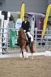 Die 8er-Teammitglieder haben die Chance auf ein Ticket für die EuroCheval. | © Doma