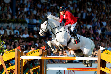 Hansi Dreher und Elysium konnten im deutschen Team beim Nationenpreis heute Abend beim CHIO Aachen glänzen. | © Lafrentz